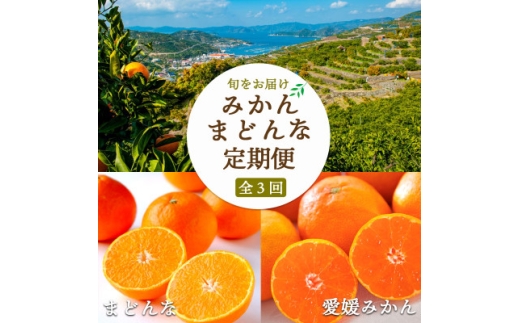 ＜2週間毎定期便＞大玉みかん8kg×まどんな合計6kg ＜H25-289＞全3回【4071363】