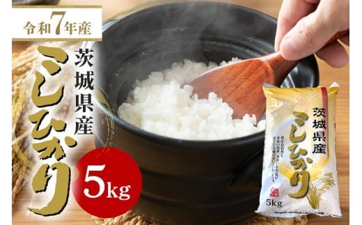 【令和7年産】石岡市産コシヒカリ 5kg 精米 お米 米 白米 茨城県 石岡市 B05-007 2304295 - 茨城県石岡市