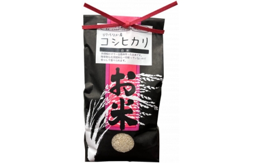 ＜特別栽培米＞コシヒカリ　茨城県産　白米　約4.5kg【1663956】