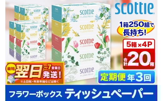 《4ヶ月ごとに3回お届け》定期便 ティッシュペーパー スコッティ フラワーボックス250組 20箱(5箱×4パック) ティッシュ 秋田市オリジナル  最短翌日発送 1350169 - 秋田県秋田市