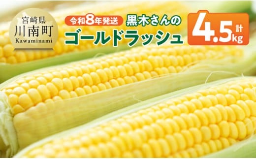【令和8年発送】黒木さんのゴールドラッシュ4.5kg【 数量限定 季節限定 産地直送 とうもろこし コーン とうきび 野菜 】