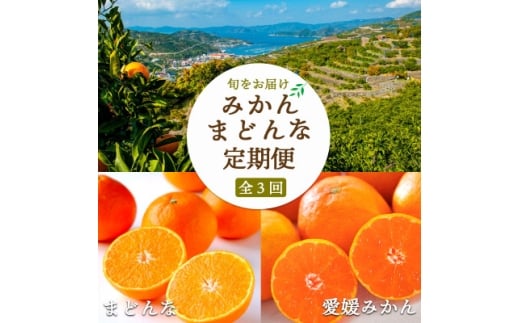＜2週間毎定期便＞小玉みかん&まどんな堪能 ＜H25-291＞全3回【4071365】
