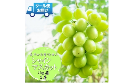 先行予約　2026年発送分　山梨県 山梨市　安心のクール便発送　シャインマスカット 1kg 　2房【1671621】