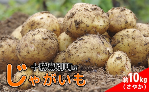 北海道 十勝 幕別産 じゃがいも さやか 約10kg 【横山農園】 野菜 根菜 食材 しっとり 崩れにくい 煮込み料理 炒め物 肉じゃが カレー シチュー 北海道のジャガイモ[№5749-1787] 2317842 - 北海道幕別町