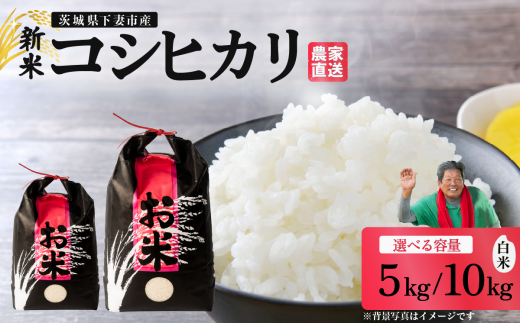 精米 コシヒカリ「5kg / 10kg」から選べる 茨城県下妻市産 【 米 お米 白米 ごはん こめ コシヒカリ 令和7年産 茨城県産 】