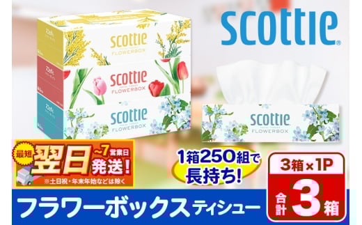 ティッシュペーパー スコッティ ティシュー フラワーボックス 250組 3箱パック×1パック 秋田市オリジナル 最短翌日発送 2087935 - 秋田県秋田市