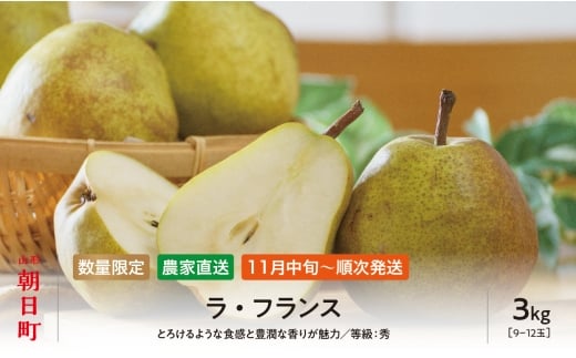 ラ・フランス 洋梨 3kg 9～12玉 秀品 【11月中旬発送】 農家直送 山形県 朝日町産 山形産 山形 特産 産地直送 果物 フルーツ ラフランス 秋 1442561 - 山形県朝日町