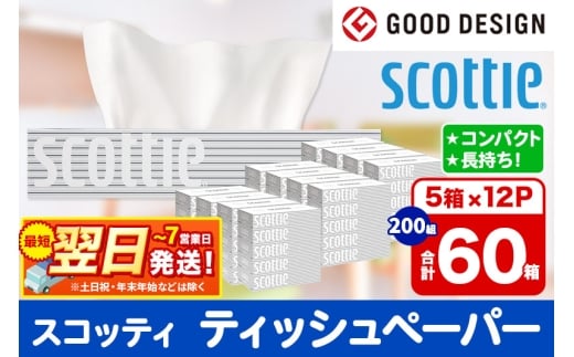 ティッシュペーパー スコッティ 200組 60箱(5箱×12パック) ティッシュ 日用品 最短翌日発送 1263155 - 秋田県秋田市