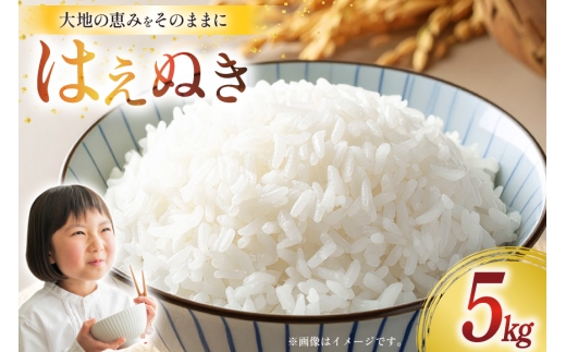 令和7年産 慣行栽培 はえぬき 5kg [田制農園 山形県 高畠町 tk06ayt230006] 精米 白米 米 お米 ブランド米 ごはん ご飯 