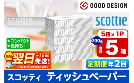 《6ヶ月ごとに2回お届け》定期便  ティッシュペーパー スコッティ ティシュー 5箱×1パック 秋田市オリジナル 最短翌日発送 2087932 - 秋田県秋田市