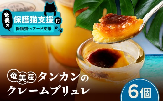 【奄美の保護猫支援（保護猫フード10日分）】＋奄美産タンカンのクレームブリュレ（6個入り）　A071-002-02