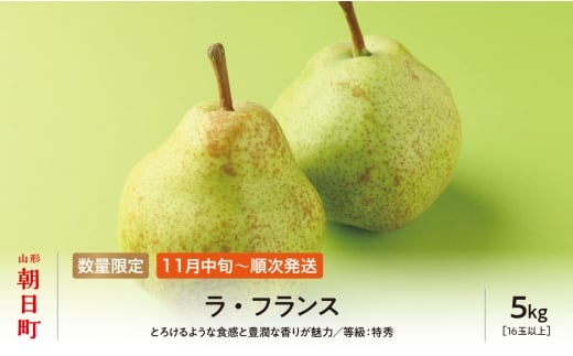 ラ・フランス 洋梨 5kg 16玉以上 特秀 【11月中旬発送】 山形県 朝日町産 山形 特産 産地直送 果物 フルーツ ラフランス 秋 山形産 313182 - 山形県朝日町