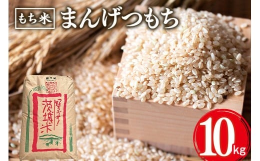 まんげつもち 玄米 10kg 岡田ファーム もち米 マンゲツモチ お米 もち 米 モチ 10キロ 国産 餅 こめ コメ 茨城県産 茨城 産直 産地直送 農家直送 おこわ 団子 餅米 玄米もち米 精米もち米 餅つき 年末年始 満月もち 家庭用 贈答用 茨城県 石岡市 (B02-022)