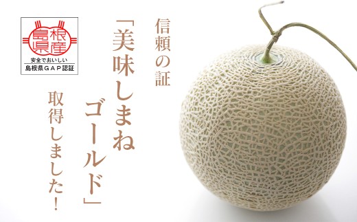 メロンパークの赤肉メロン＜2026年10月より順次発送・2Lサイズ1玉＞【1666377】
