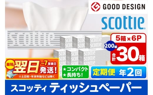 《6ヶ月ごとに2回お届け》定期便 ティッシュペーパー スコッティ 200組 30箱(5箱×6パック) ティッシュ 秋田市オリジナル 最短翌日発送 1350159 - 秋田県秋田市
