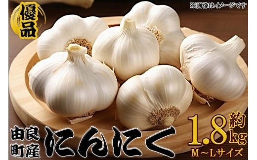 由良町産にんにく 優品 約1.8kg(900g×2／M～Lサイズ)【SL18】 2083336 - 和歌山県九度山町