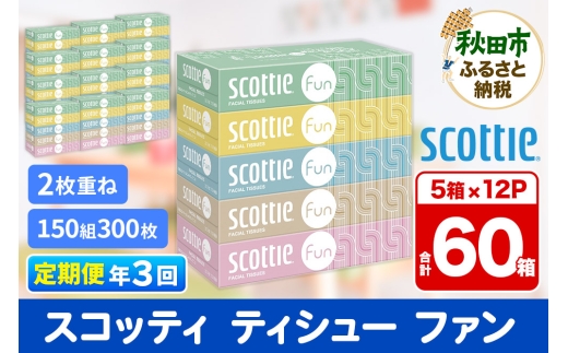 《4ヶ月ごとに3回お届け》定期便 ティッシュペーパー スコッティ ティシュー ファン 150組 5箱×12パック 2084595 - 秋田県秋田市