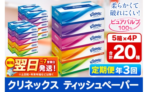 《4ヶ月ごとに3回お届け》定期便 ティッシュ クリネックス 20箱 5箱×4パック 秋田市オリジナル 最短翌日発送 1350130 - 秋田県秋田市