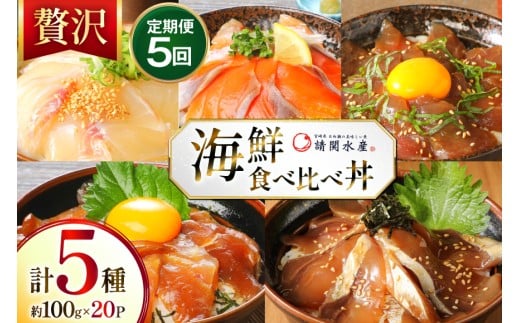 海鮮丼 海鮮漬け丼 5か月 定期便 [請関水産 宮崎県 日向市 452061452] 海鮮丼の具 海鮮 海鮮丼セット 食べ比べ 丼 冷凍 ギフト 漬け丼 ブリ 真鯛 マダイ カンパチ かんぱち まぐろ マグロ サーモン