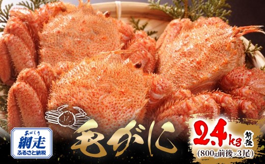 網走産 毛がに2.4kg前後（800g前後×3尾） 【 ふるさと納税 人気 おすすめ ランキング かに カニ 蟹 毛ガニ 毛がに 毛蟹 網走産 冷凍 蟹みそ カニみそ 蟹味噌 オホーツク 北海道産 北海道 網走市 送料無料 】ABW111