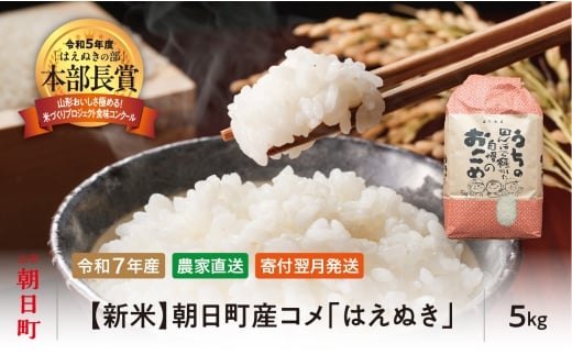 新米 はえぬき 令和7年産 5kg （1袋） 2025年産 農家直送 精米 こめ コメ 山形県 朝日町産 2316965 - 山形県朝日町