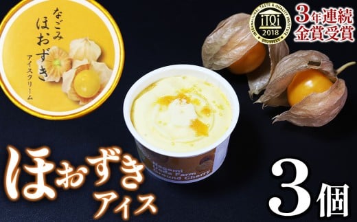 [ 国際味覚コンクール 3年連続金賞受賞 ]プリンセスほおずき使用 なごみほおずきアイスクリーム 3個 | 熊本県 和水町 くまもと なごみまち なごみ アイスクリーム アイス スイーツ デザート おやつ ほおずき 果物 野菜 ギフト