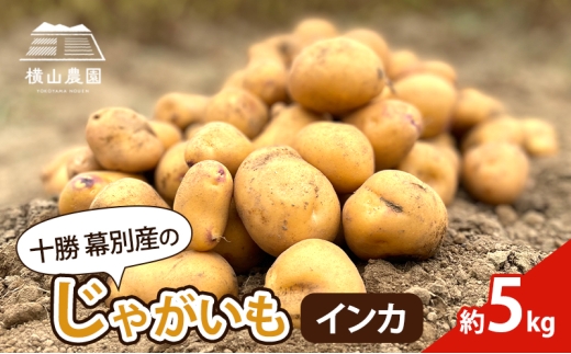 北海道 十勝 幕別産 じゃがいも インカ 約5kg【横山農園】  野菜 根菜 フライドポテト ポテトチップス 変色しにくい 煮崩れしにくい 黄金色 北海道のジャガイモ [№5749-1386] 2317841 - 北海道幕別町
