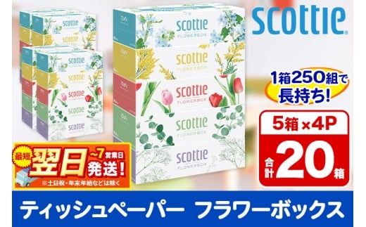 最短翌日発送ティッシュペーパー スコッティ フラワーボックス250組 20箱(5箱×4パック) ティッシュ 秋田市オリジナル  最短翌日発送 1337313 - 秋田県秋田市