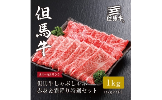 ＜但馬牛＞ しゃぶしゃぶ 赤身&霜降り 特選セット1kg【1313390】 757039 - 兵庫県養父市