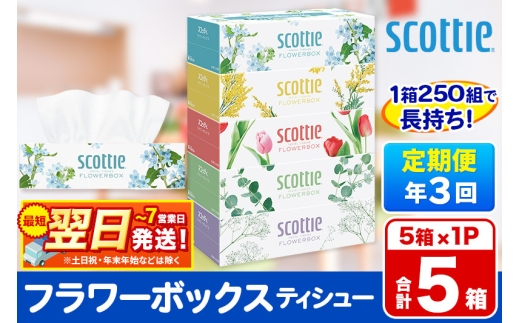 《4ヶ月ごとに3回お届け》定期便  ティッシュペーパー スコッティ ティシュー フラワーボックス 250組 5箱パック×1パック 秋田市オリジナル 最短翌日発送 2087941 - 秋田県秋田市