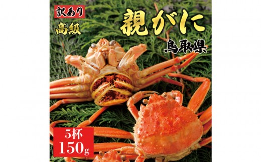 1068.【2025年11月発送】鳥取県産 特撰 親がに 姿【セコガニ】（茹）【訳あり】150g 5杯 2268314 - 鳥取県北栄町