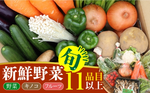 新鮮 野菜 キノコ 果物 11品目 詰め合わせ / 野菜 やさい きのこ キノコ 詰め合わせ セット / 吉岡青果 / 南島原市 [SCZ004] 464672 - 長崎県南島原市