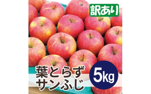 ＜2025年11月発送予定＞平均糖度13度以上! 葉とらずサンふじ 約5kg 訳あり【1667880】 2317142 - 青森県大鰐町