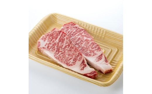 ＜食通の静岡牛＞ サーロインステーキ　250g×2枚 _肉 牛肉  国産 静岡県 磐田市 冷凍 送料無料【1637185】