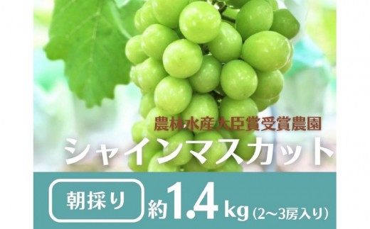 【先行予約2026年8月頃発送】大府市産　シャインマスカット1.4kg(2～3房入）