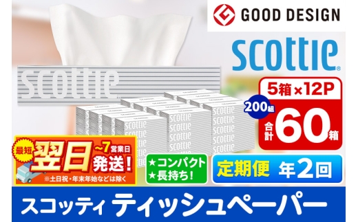 《6ヶ月ごとに2回お届け》定期便 ティッシュペーパー スコッティ 200組 60箱(5箱×12パック) ティッシュ 最短翌日発送 1350162 - 秋田県秋田市