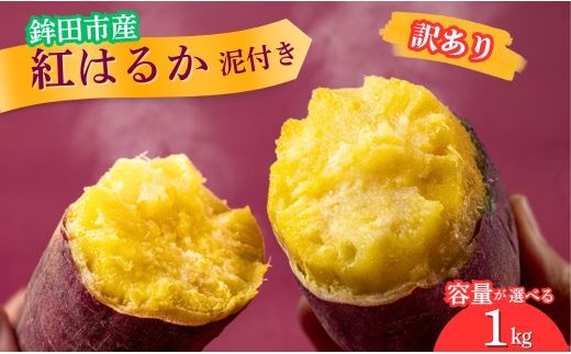 さつまいも 紅はるか 訳あり品 （A品不揃い） 1kg 泥付き 303496 - 茨城県鉾田市