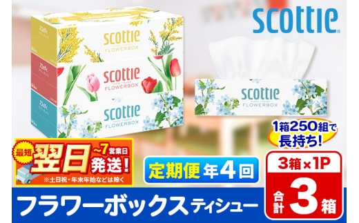 《3ヶ月ごとに4回お届け》定期便  ティッシュペーパー スコッティ ティシュー フラワーボックス 250組 3箱パック×1パック 秋田市オリジナル 最短翌日発送 2087938 - 秋田県秋田市