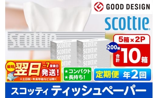 《6ヶ月ごとに2回お届け》定期便 ティッシュペーパー スコッティ 200組 10箱(5箱×2パック) ティッシュ 秋田市オリジナル 最短翌日発送 1350153 - 秋田県秋田市
