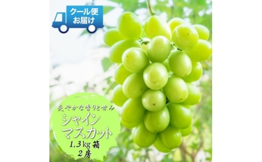 先行予約　2026年発送分　山梨県山梨市　安心のクール便発送　シャインマスカット 1.3kg 　2房【1671620】
