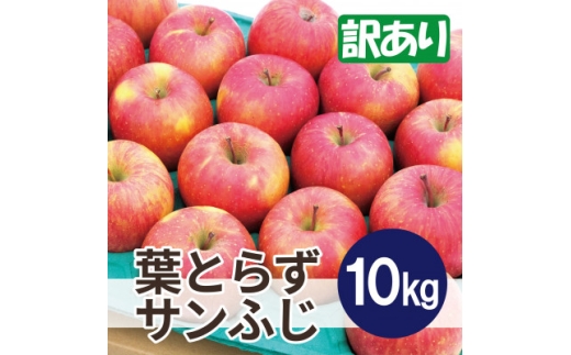 ＜2025年11月発送予定＞平均糖度13度以上! 葉とらずサンふじ 約10kg 訳あり【1667883】 2317143 - 青森県大鰐町