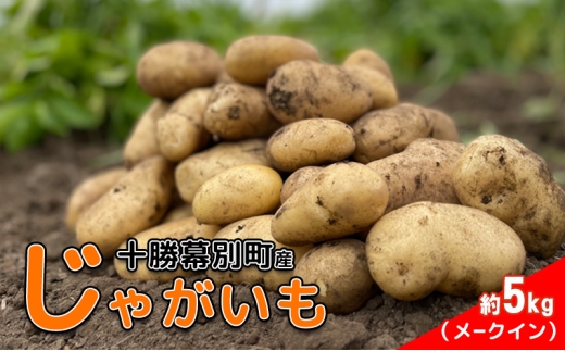 北海道 十勝 幕別産 じゃがいも メークイン 約5kg 【横山農園】 野菜 根菜 食材 しっとり 崩れにくい 煮込み料理 炒め物 肉じゃが カレー シチュー 北海道のジャガイモ[№5749-1788] 2317843 - 北海道幕別町