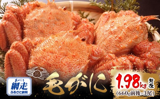 網走産 毛がに1.98kg前後（660g前後×3尾） 【 ふるさと納税 人気 おすすめ ランキング かに カニ 蟹 毛ガニ 毛がに 毛蟹 網走産 冷凍 蟹みそ カニみそ 蟹味噌 オホーツク 北海道産 北海道 網走市 送料無料 】ABW110