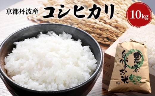 [№5334-0695]令和7年産 京都丹波産 コシヒカリ 10kg 米 こしひかり 精米 白米  2317810 - 京都府南丹市