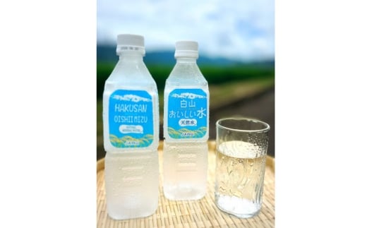 白山おいしい水　天然水　550mlペットボトル×24本(1ケース)【1633047】