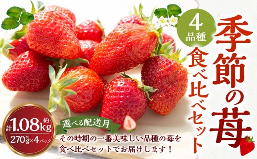 よかもんいちご 4品種食べ比べセット 2025年12月発送 いちご イチゴ 苺 4種 フルーツ 果物 贈答 贈り物 ギフト 九州 福岡 うきは市 241853 - 福岡県うきは市