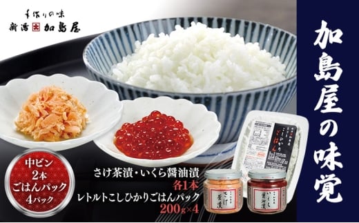 加島屋 中ビン2本・こしひかりごはんパック  鮭 イクラ おつまみ お茶漬け ごはんのお供 フレーク 瓶詰 新潟市