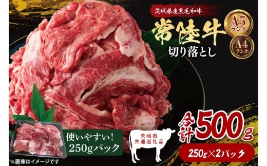 【茨城県共通返礼品】常陸牛切り落とし500g（250g×2）｜ブランド牛 銘柄牛 和牛 黒毛和牛 国産 A5・A4ランク 等級 お肉 牛肉 牛丼 すき焼き 炒め物 小分け 茨城県 大子町（DD006）