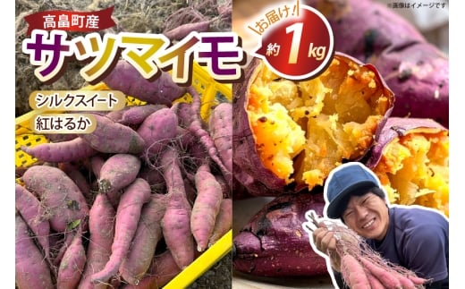 【期間限定発送】 さつまいも 2種 紅はるか シルクスイート 詰め合わせ 約1kg (4〜6本) [農家の店しゃんくすろーど 山形県 高畠町 tk06bcz250002] 芋 サツマイモ いも 野菜 やさい セット