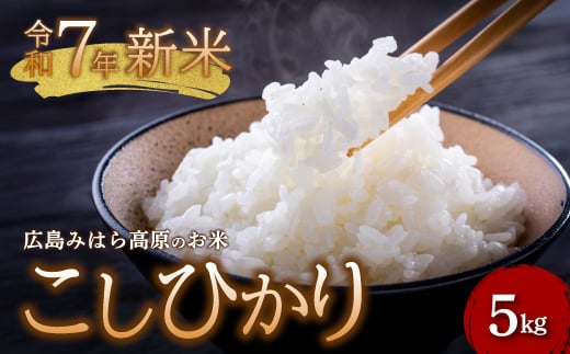 令和7年新米 コシヒカリ 白米5kg お米 米 精米 ごはん ご飯 広島県 三原市 220001